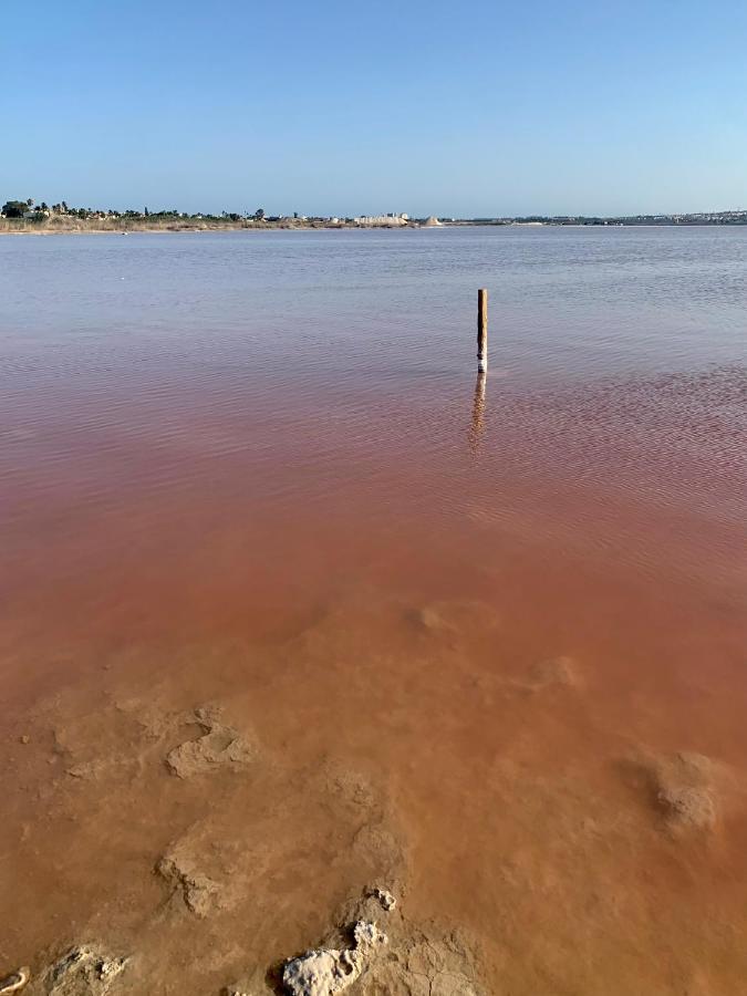 Apartamento Agua Rosa Torrevieja Esterno foto