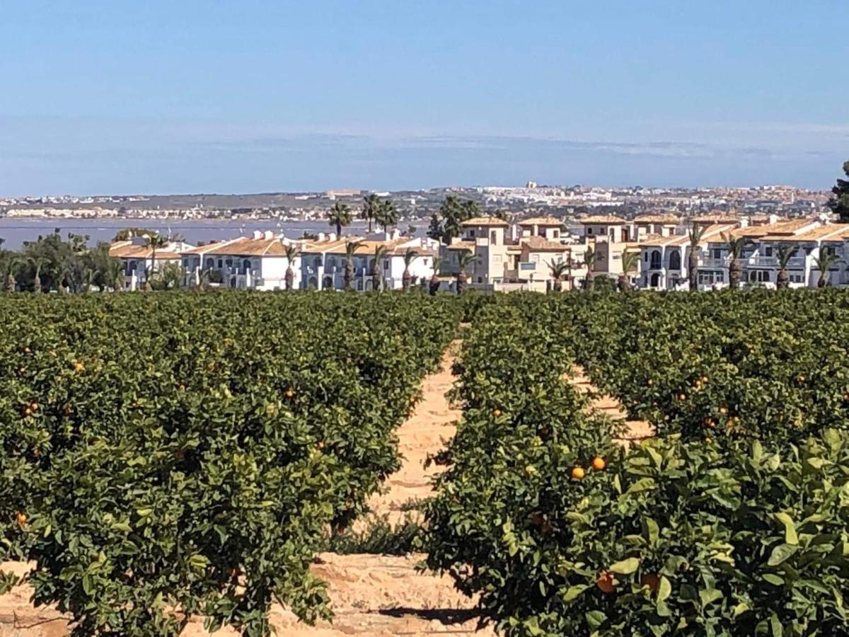 Apartamento Agua Rosa Torrevieja Esterno foto