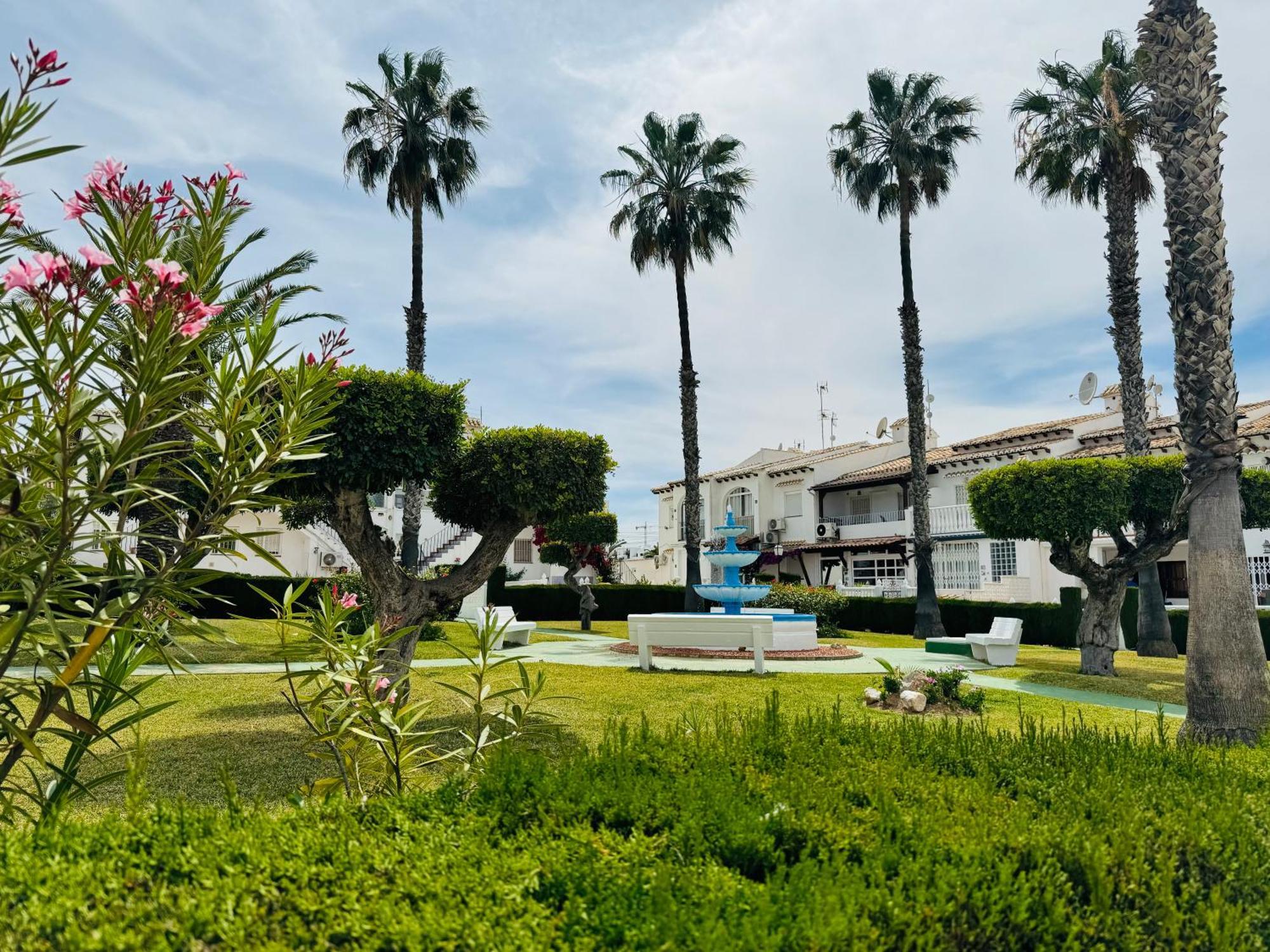 Apartamento Agua Rosa Torrevieja Esterno foto