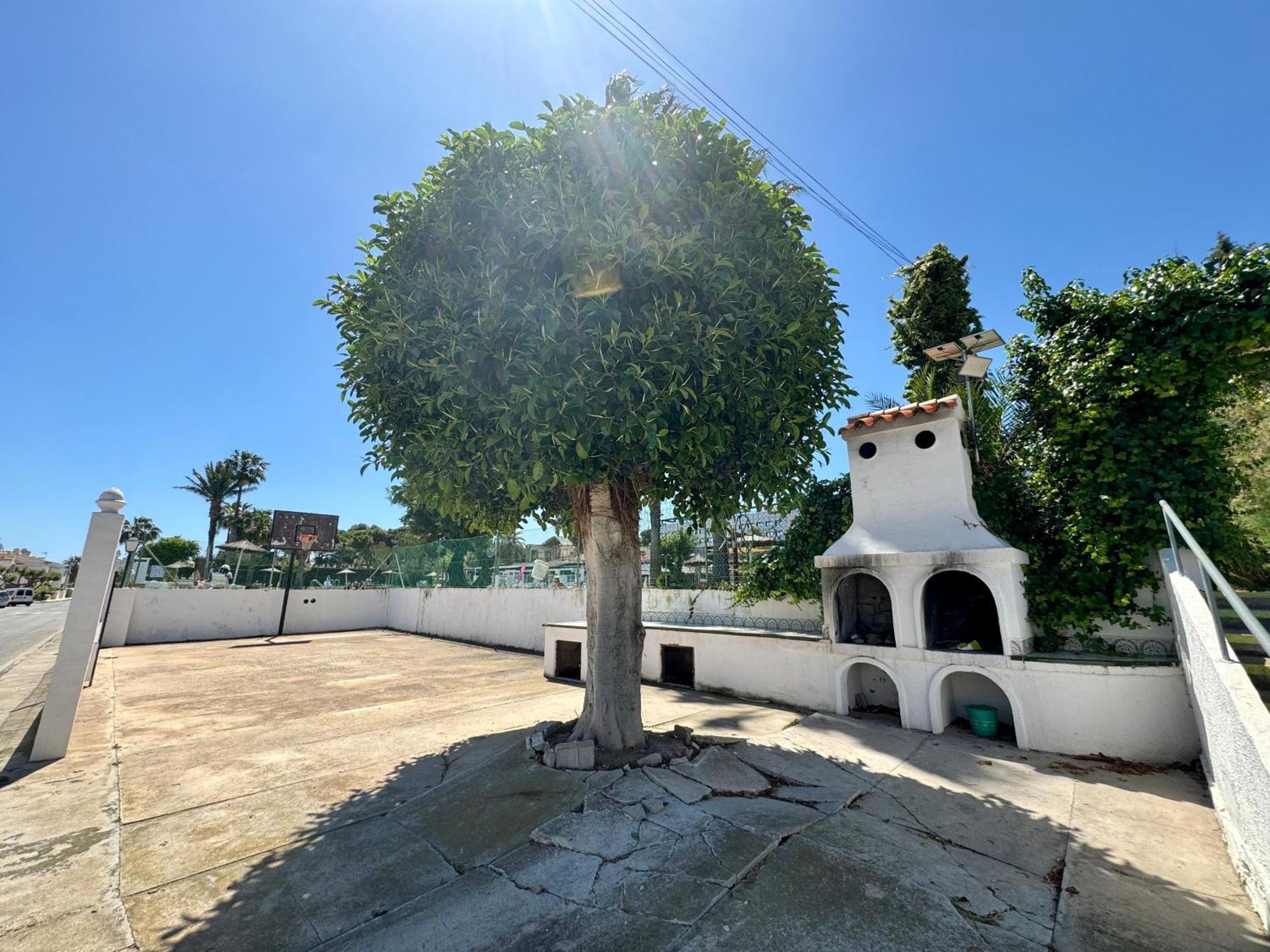 Apartamento Agua Rosa Torrevieja Esterno foto