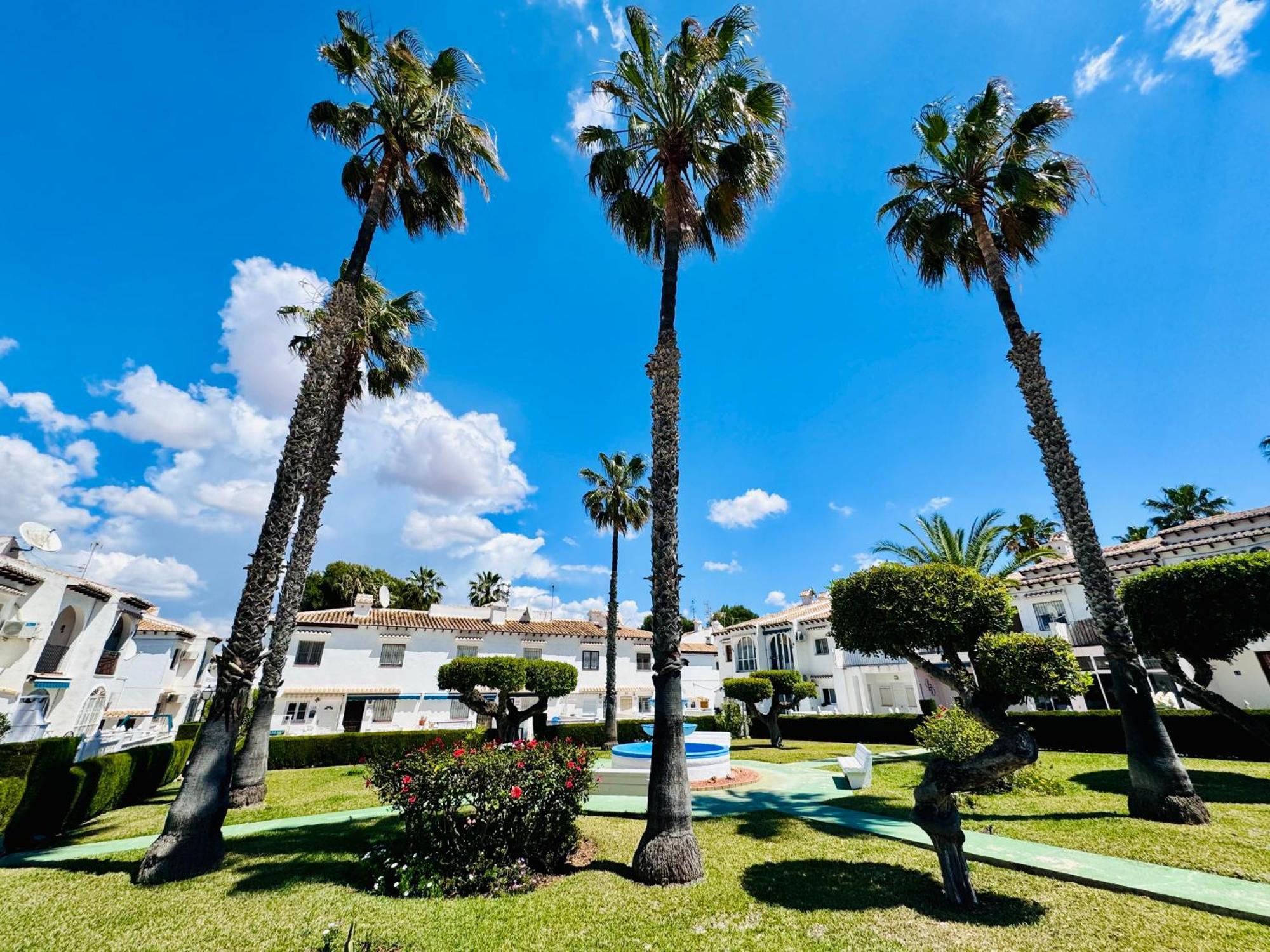 Apartamento Agua Rosa Torrevieja Esterno foto